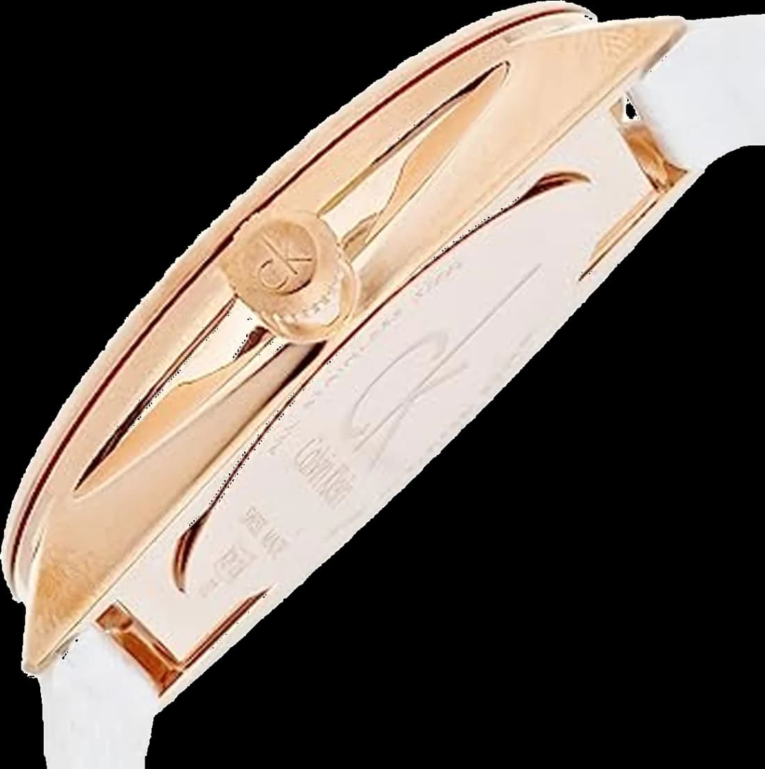 Montre Calvin Klein K2Y216K6 femme vue de profil