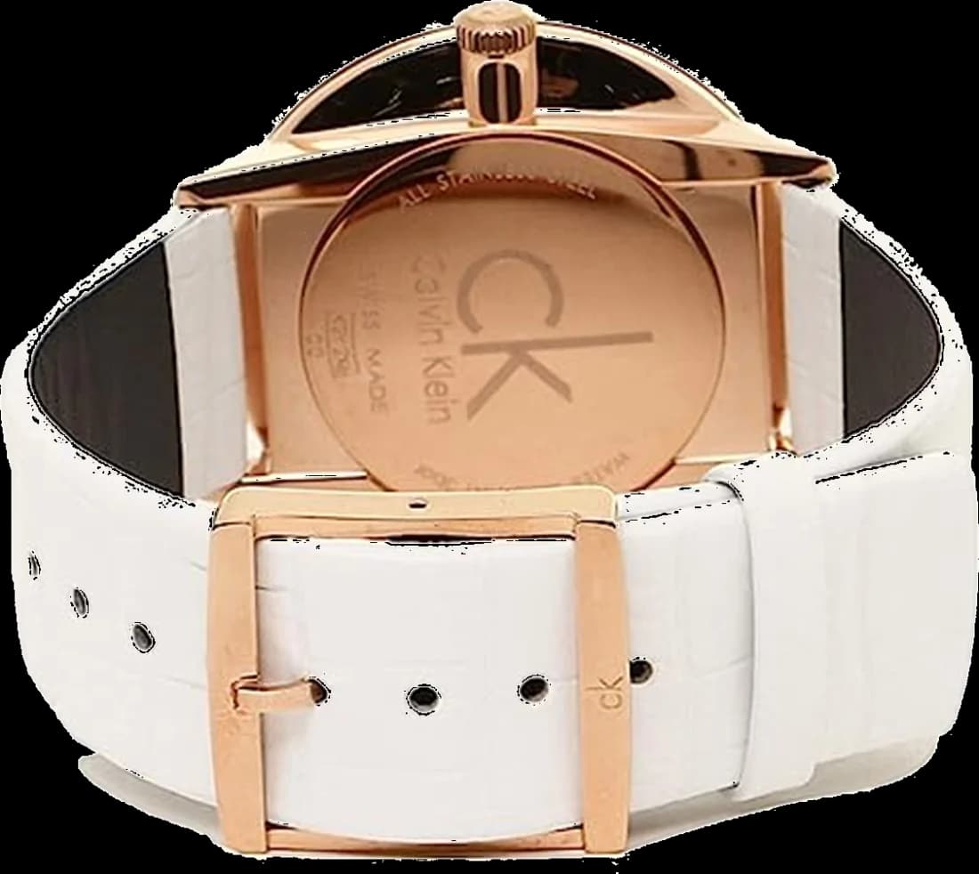 Montre Calvin Klein K2Y2X6KW homme vue de profil