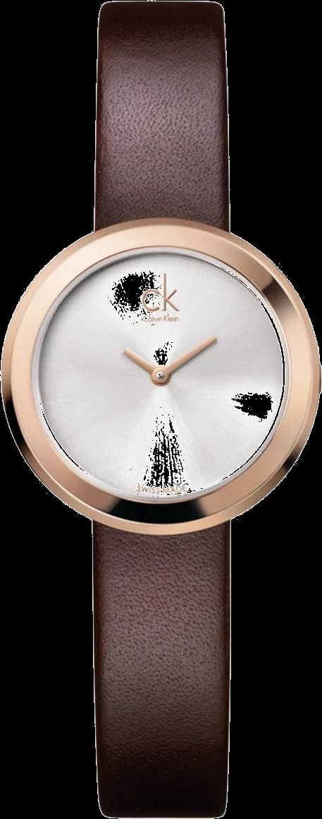 Calvin Klein K3N236G6 vue avant cadran argenté — Montres Outlet