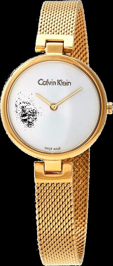 Montre Calvin Klein K8G23526 femme cadran argent bracelet acier inoxydable