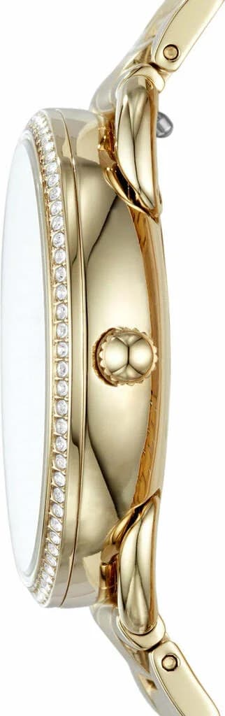 Détails du cadran et du bracelet de la Fossil ES4263