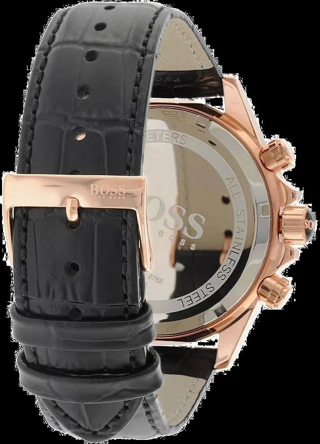 Bracelet en acier inoxydable de la montre Hugo Boss 1513179