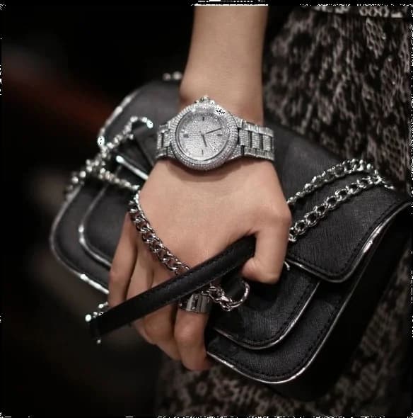 Montre Michael Kors MK5869 Camille Argentée Pavée de Cristaux vue 4