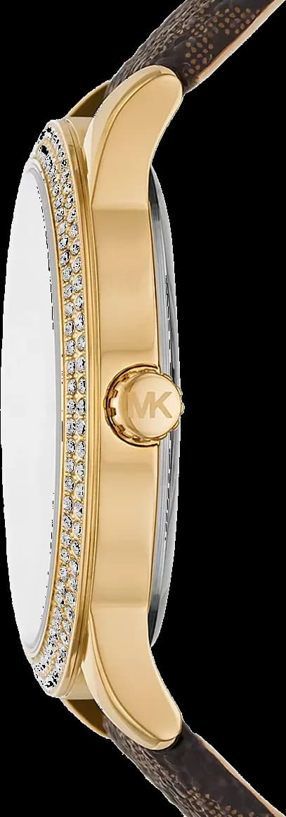 Montre Michael Kors MK6966 femme détail cadran argent