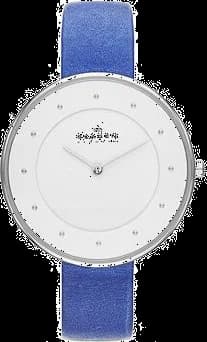 Skagen SKW2172 cadran argent — Montres Outlet