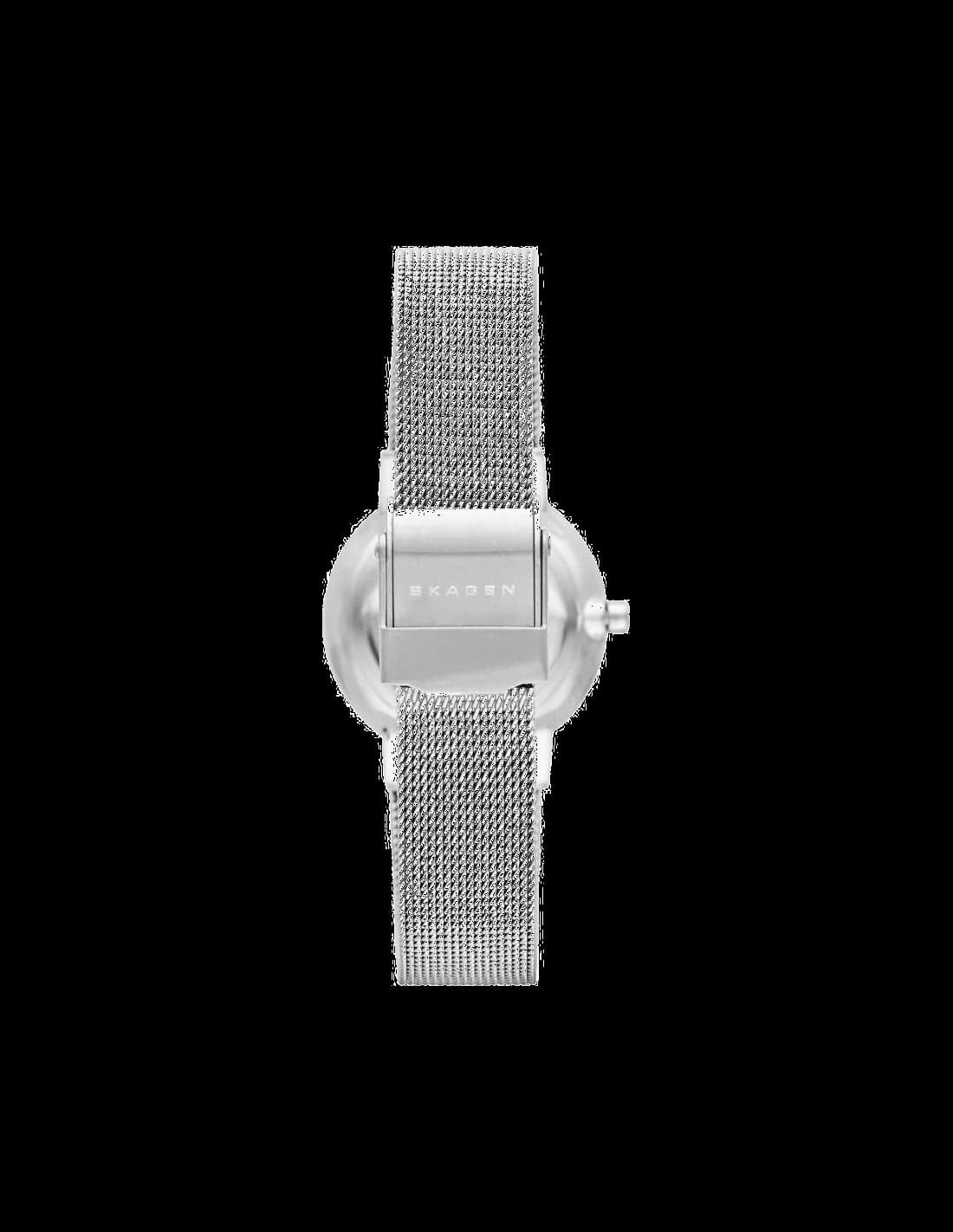 Bracelet en cuir de la montre Skagen SKW2195 — Montres Outlet