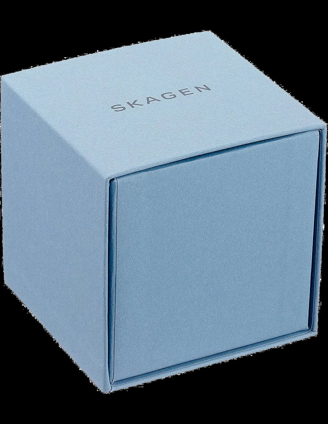Montre Skagen SKW2717 femme détail cadran argent
