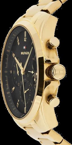 Montre Tommy Hilfiger 1710447 Baker en acier doré avec cadran squelette vue 2