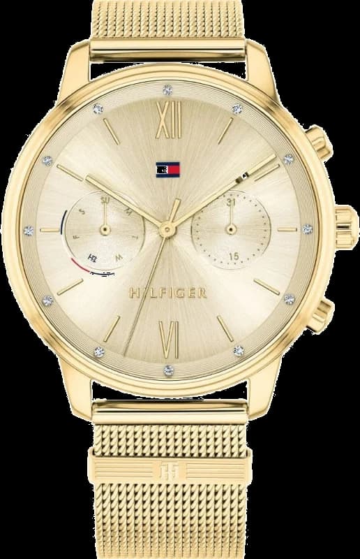 Tommy Hilfiger 1782302 cadran noir — Montres Outlet