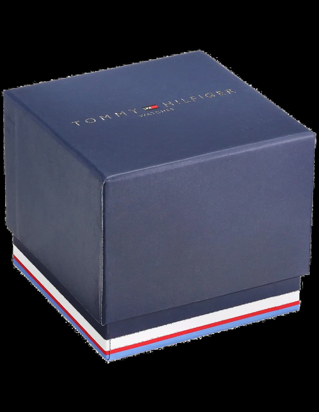 Montre Tommy Hilfiger 1791487 homme vue de profil