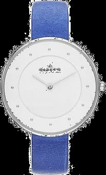 Skagen SKW2172 cadran argent — Montres Outlet