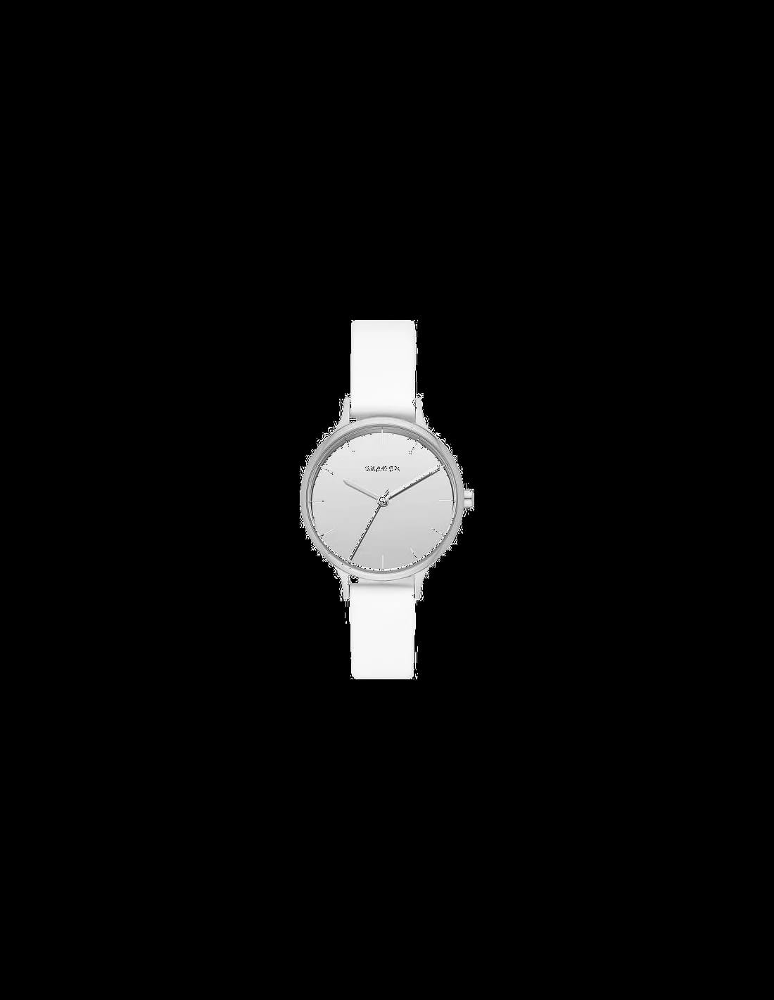 Skagen SKW2414 cadran visible — Montres Outlet