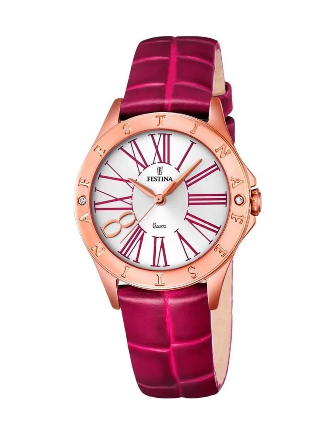Montre Femme Festina F16930/2 Rose en Acier