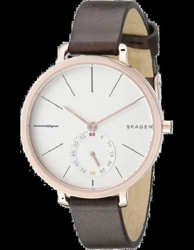 Montre Femme Skagen Hagen SKW2356 Marron
