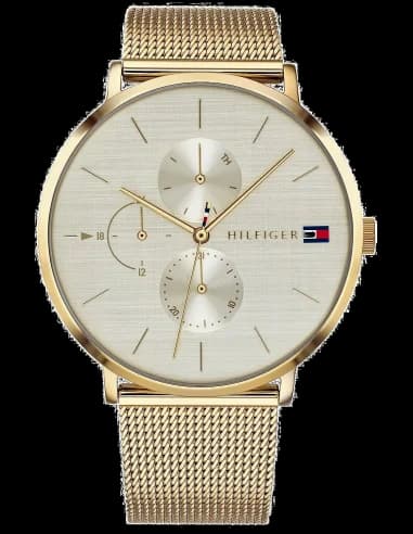 Montre Femme Tommy Hilfiger 1781943 Jenna maille milanaise dorée
